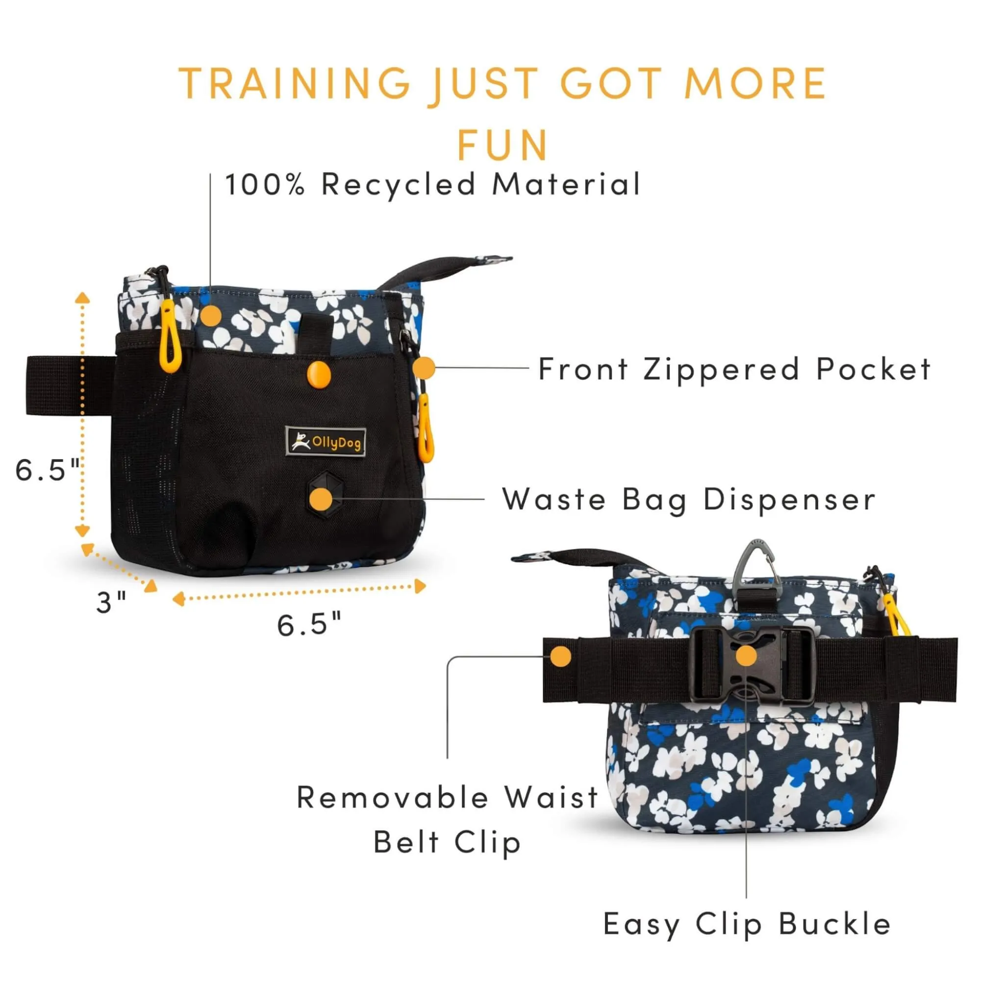 Backcountry Day Bag