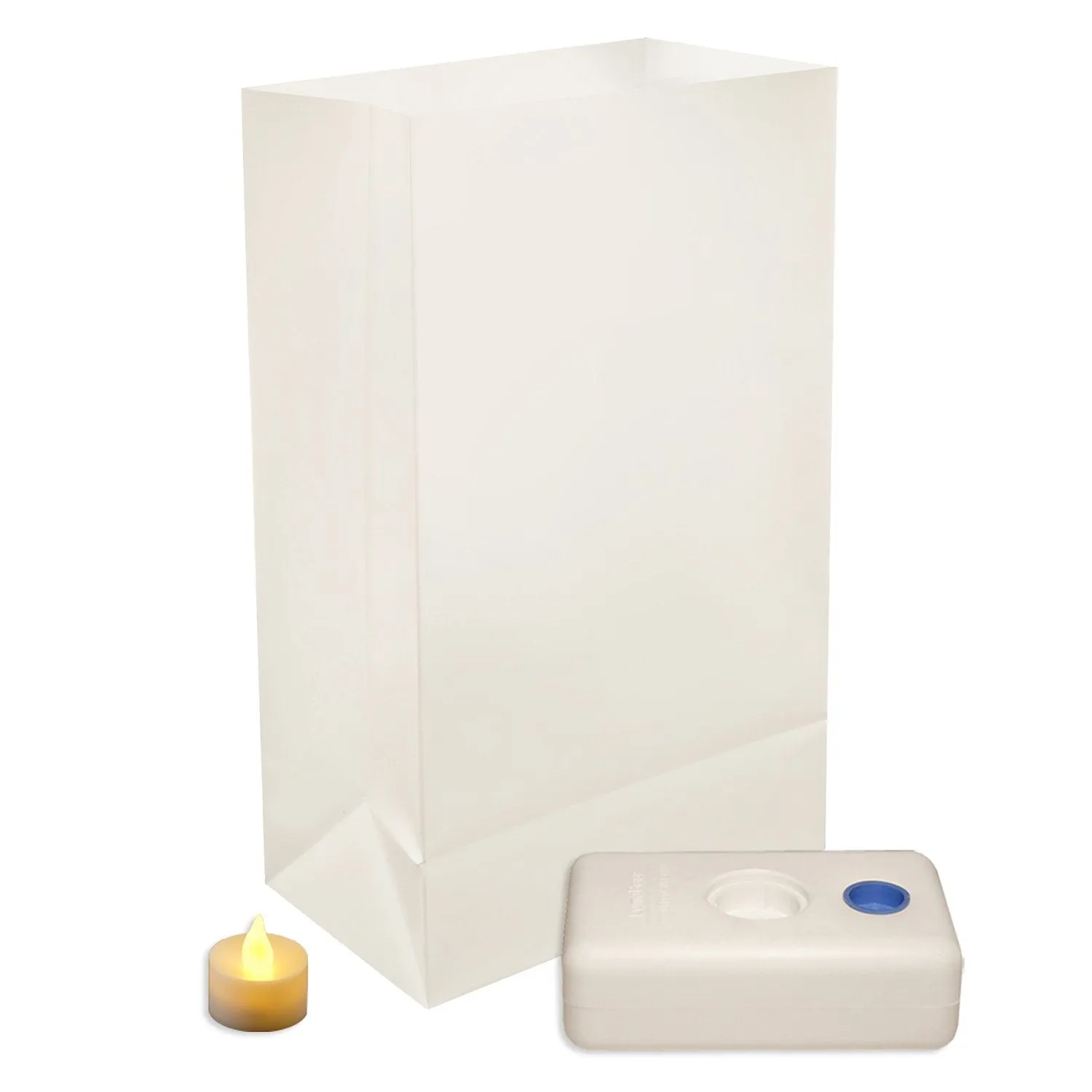 Battery Operated LED Luminaria Kit