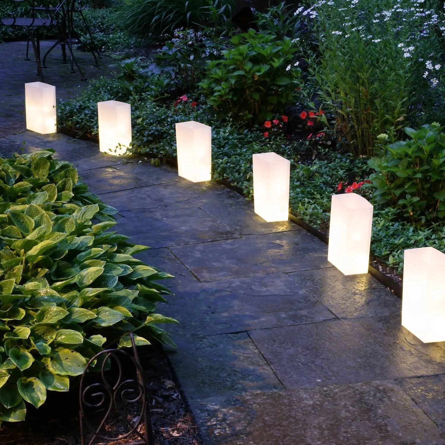 Battery Operated LED Luminaria Kit