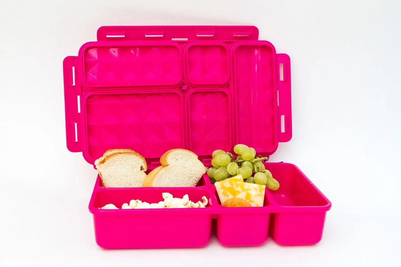 Go Green Lunch Box - Flamingo with Pink Box