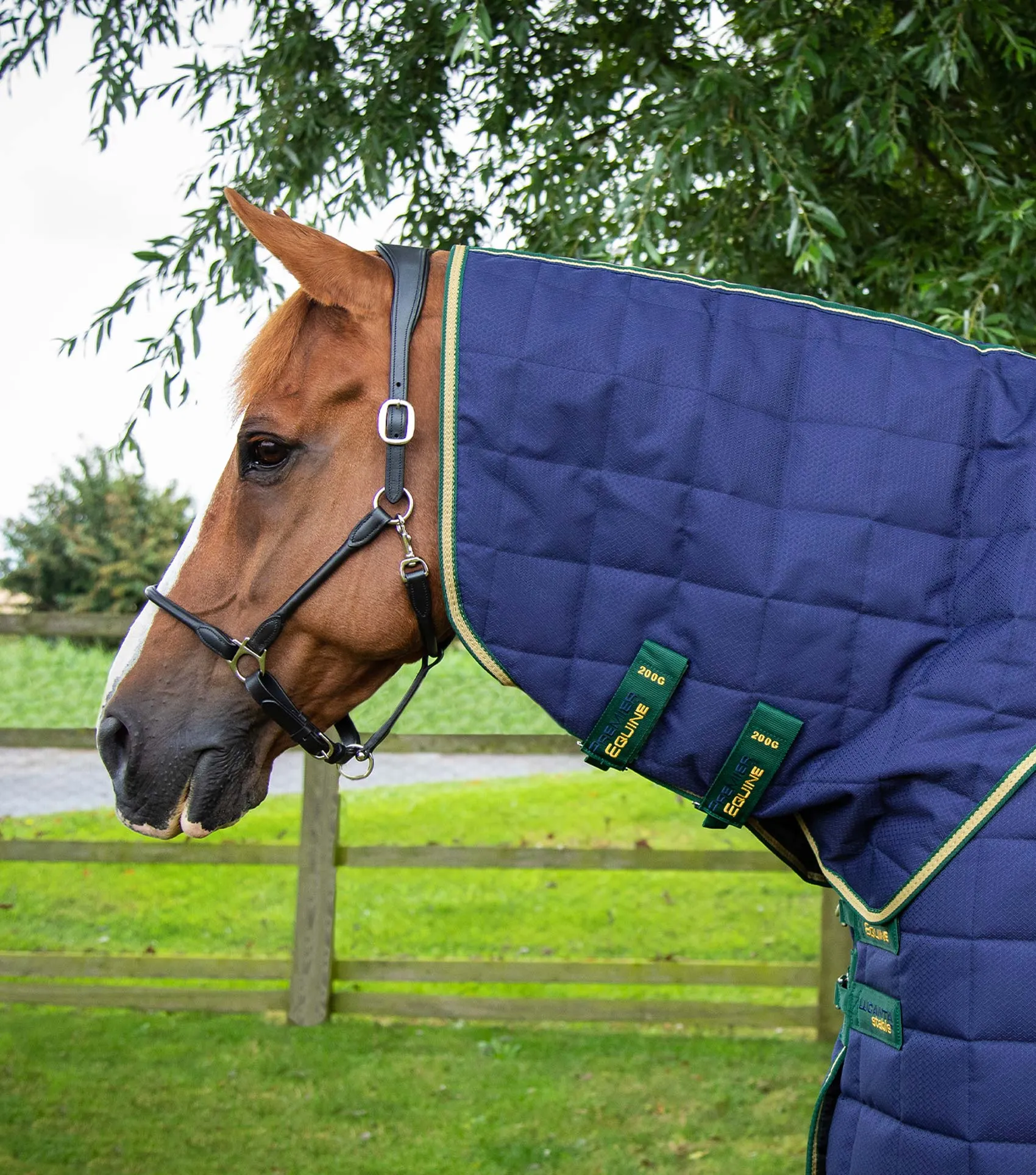 Lucanta Stable 450g Neck Cover (200g Fill)