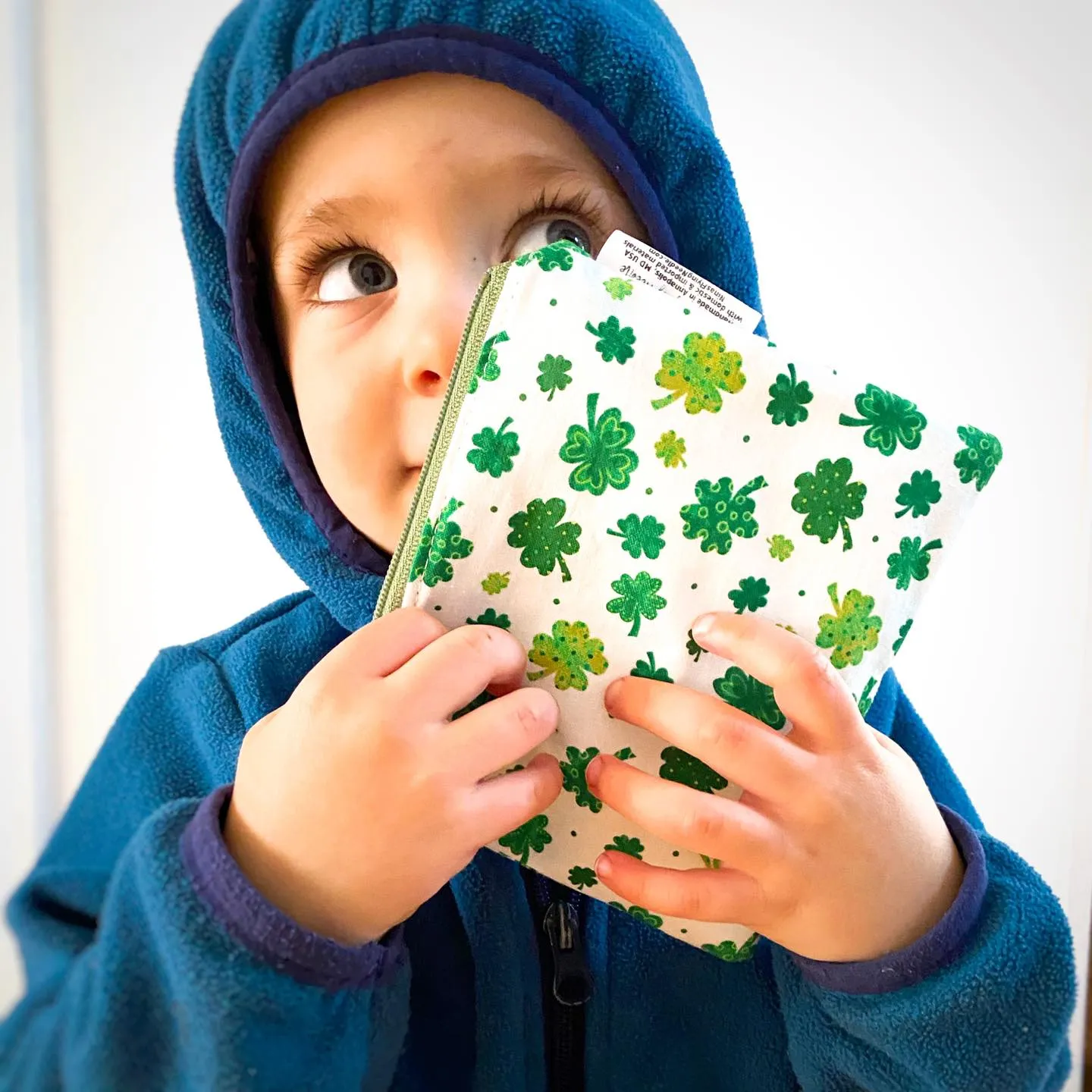 Toddler Sized Reusable Zippered Bag Basketball